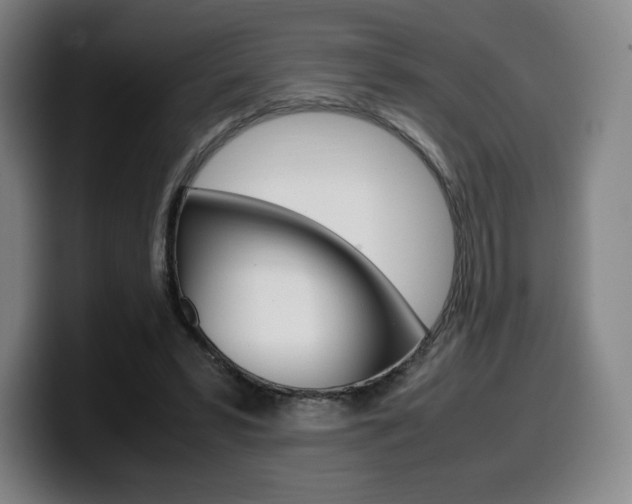X0000099510399200805151015