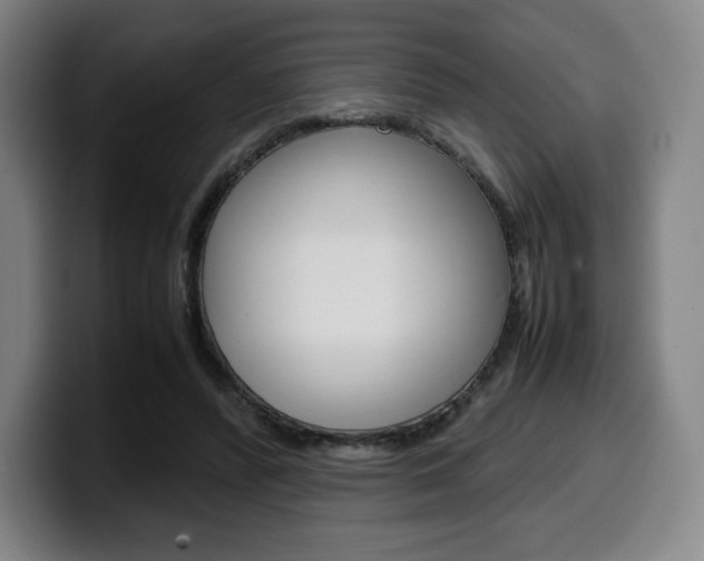 X0000099510400200805151015
