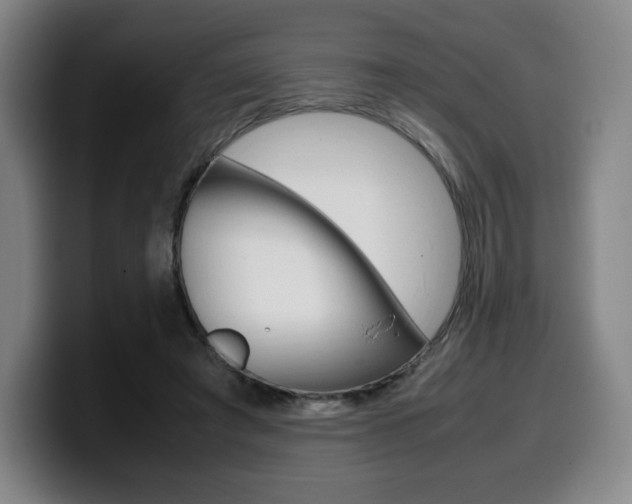 X0000099510401200805151015