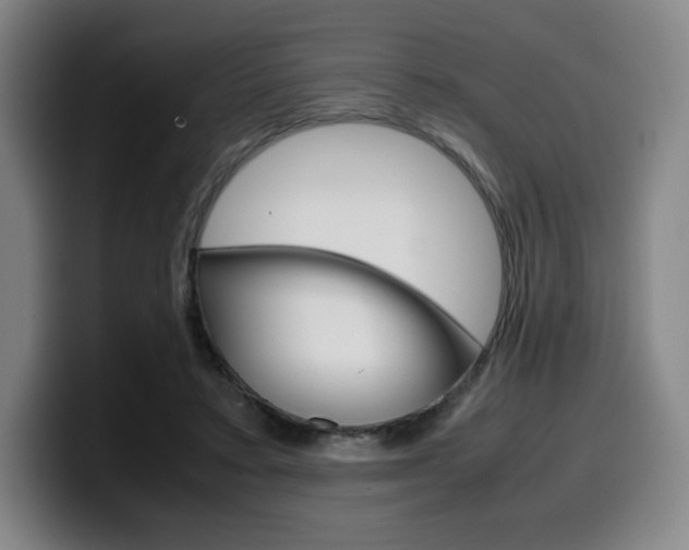 X0000099510403200805151015