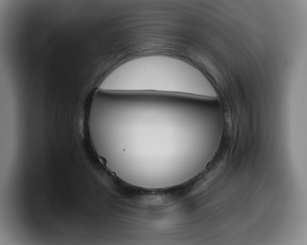 X0000099510404200805151015