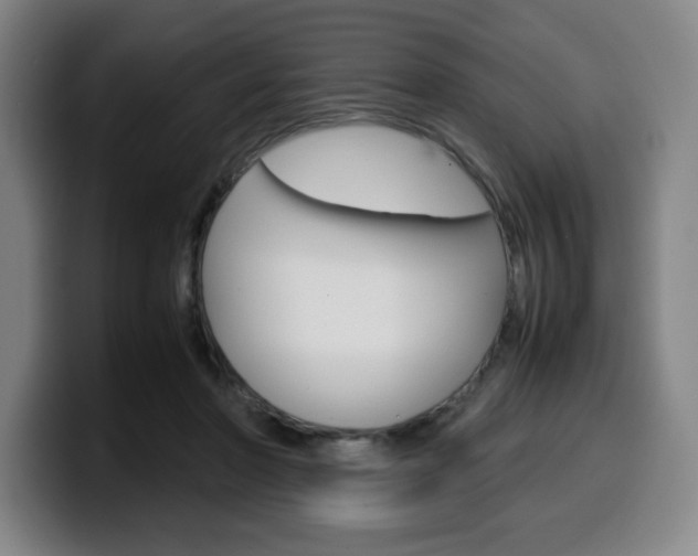 X0000099510406200805151015