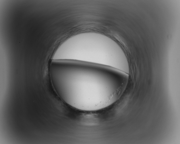 X0000099510407200805151015