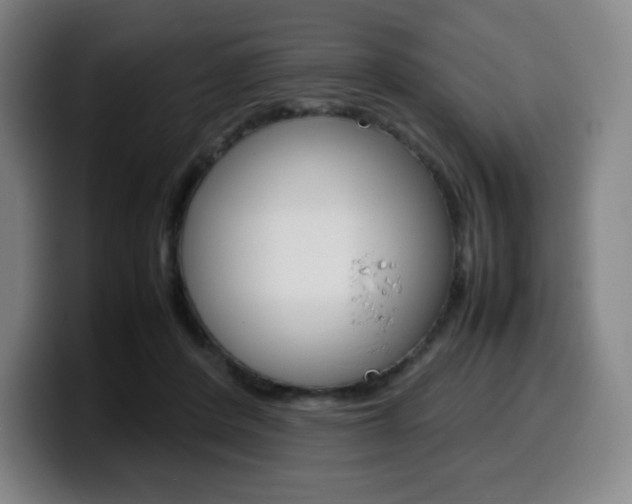X0000099510408200805151015