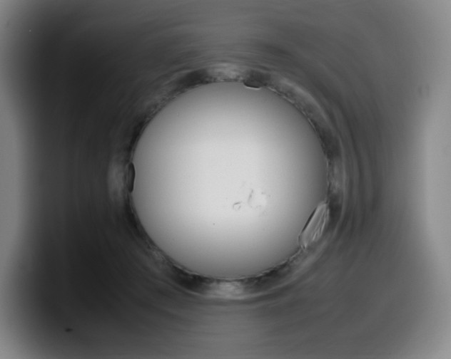 X0000099510409200805151015