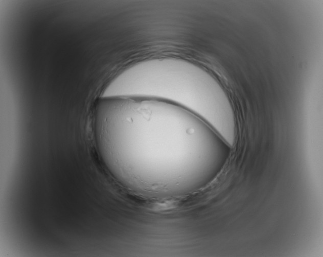 X0000099510411200805151015