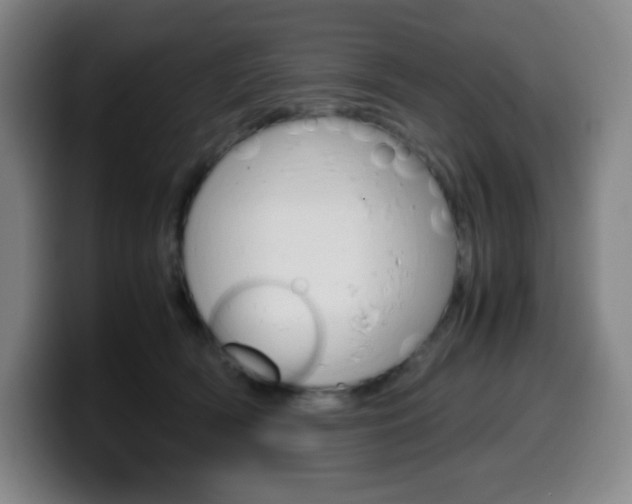 X0000099510418200805151015