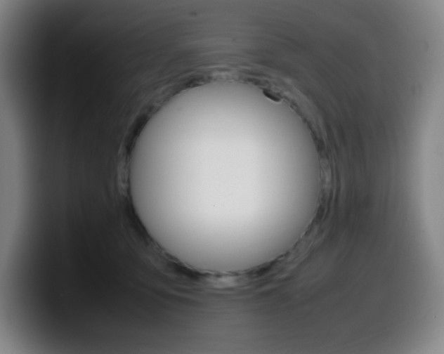X0000099510419200805151015