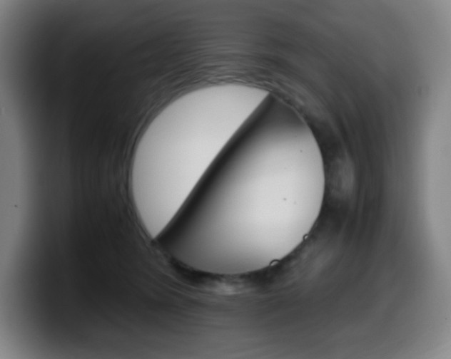 X0000099510420200805151015