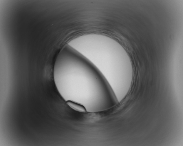X0000099510421200805151015