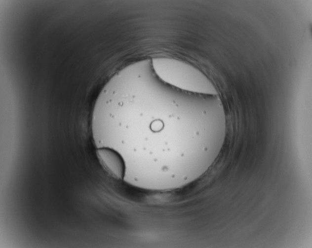 X0000099510422200805151015