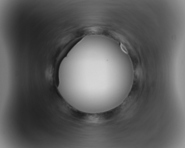 X0000099510423200805151015