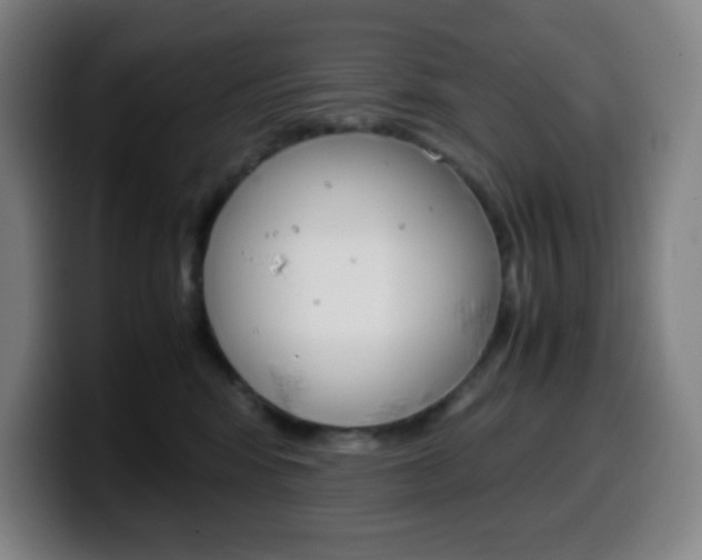 X0000099510424200805151015