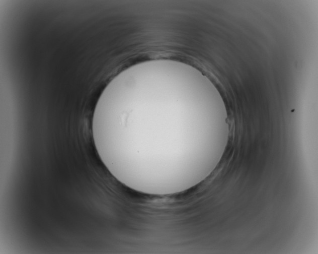 X0000099510426200805151015