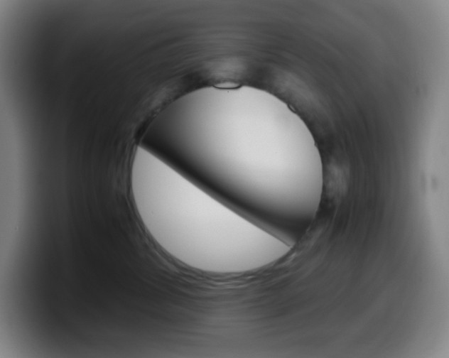 X0000099510428200805151015