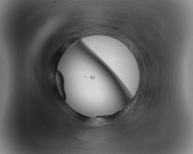 X0000099510429200805151015