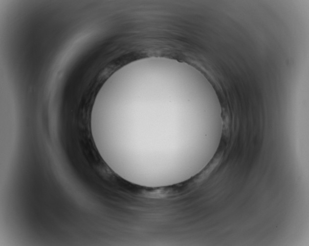 X0000099510430200805151015