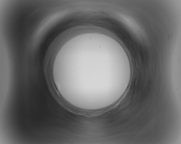 X0000099510431200805151015