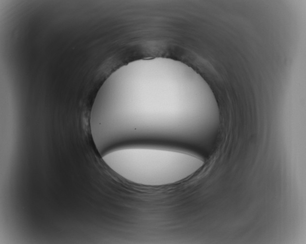 X0000099510432200805151015