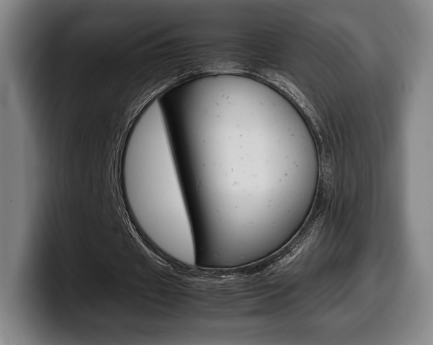 X0000099510433200805151014