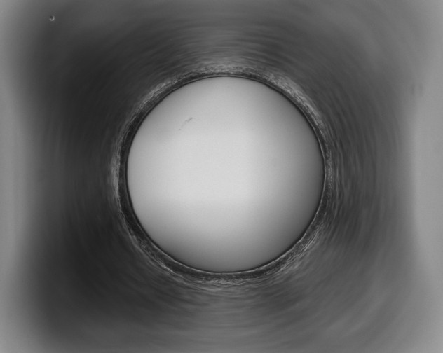 X0000099510434200805151014