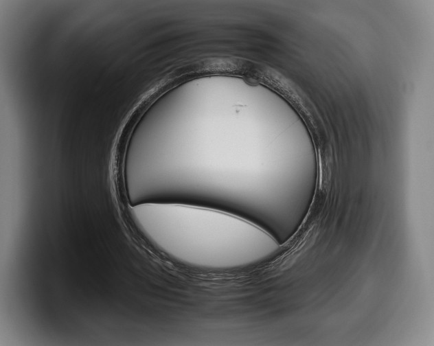 X0000099510435200805151014