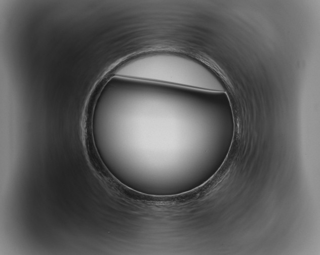 X0000099510436200805151014