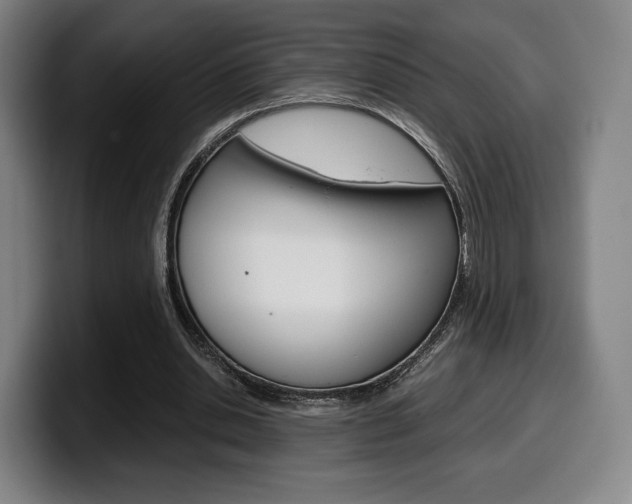 X0000099510438200805151014