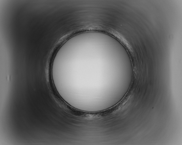 X0000099510442200805151014