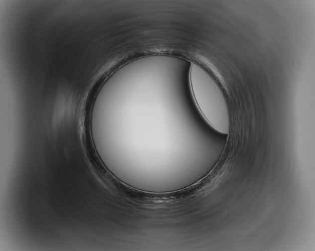 X0000099510443200805151014