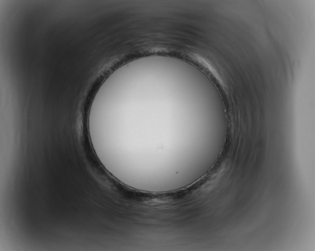 X0000099510447200805151014
