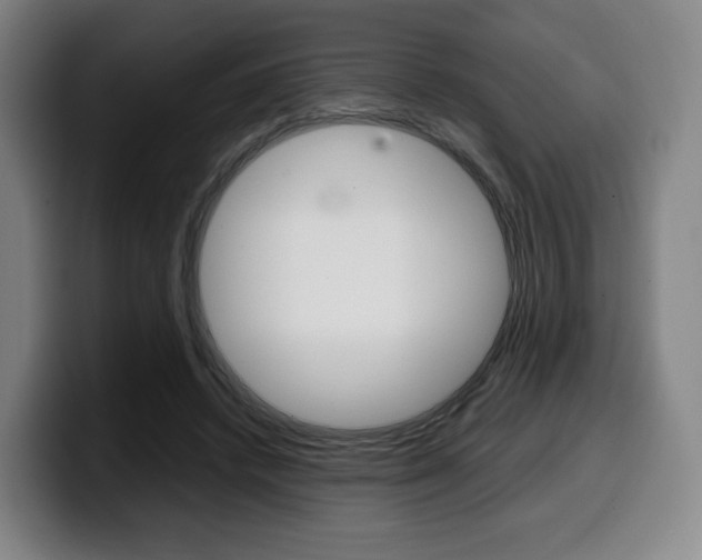 X0000099510448200805151014