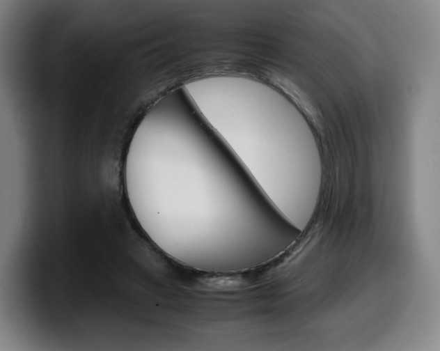 X0000099510449200805151014