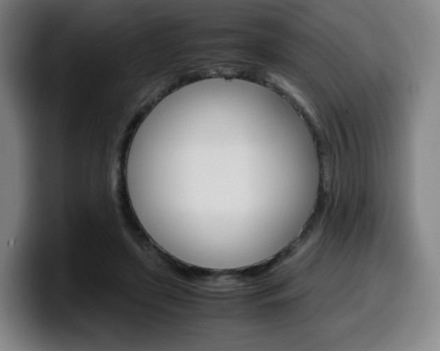 X0000099510451200805151014