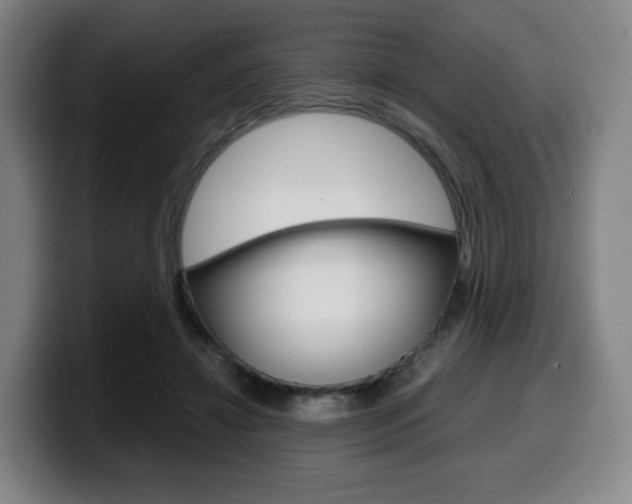 X0000099510452200805151014