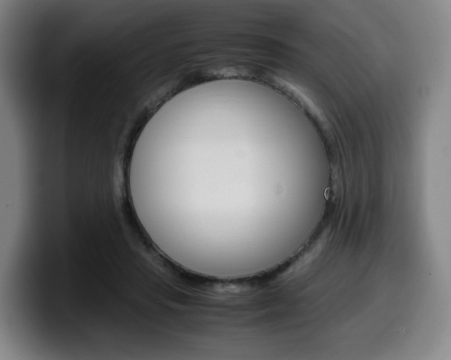 X0000099510453200805151014