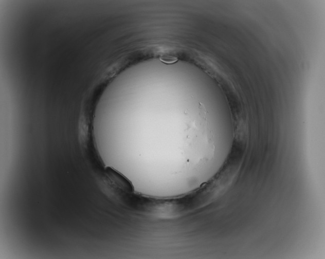X0000099510456200805151014