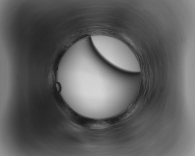 X0000099510459200805151014