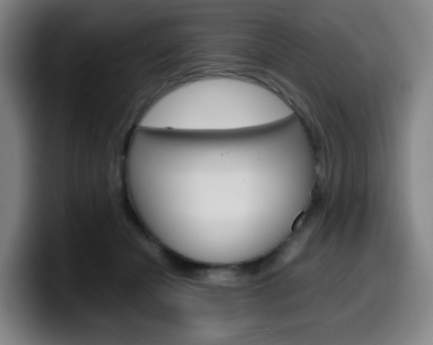 X0000099510462200805151014