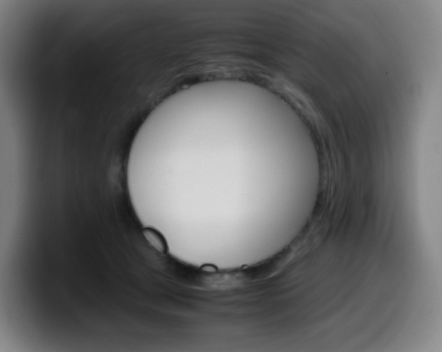X0000099510465200805151015