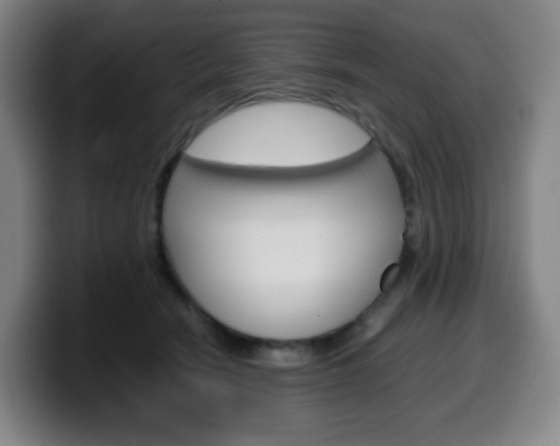 X0000099510466200805151015