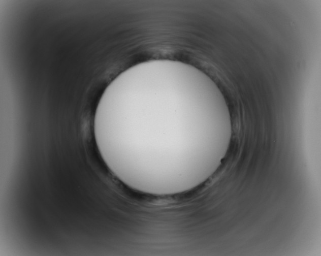 X0000099510468200805151015