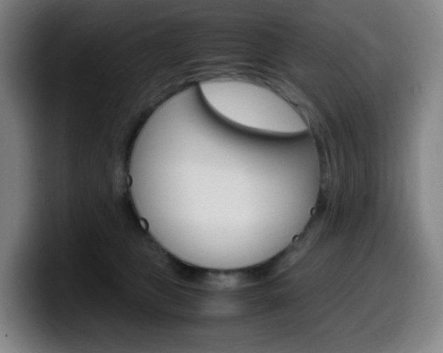 X0000099510469200805151015