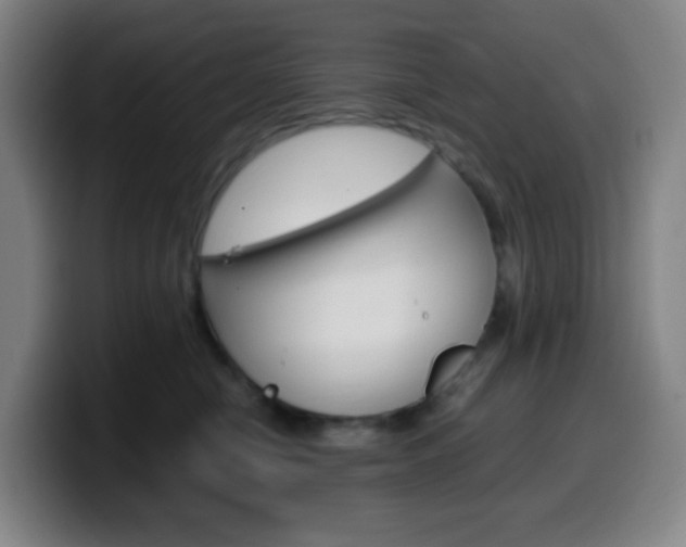 X0000099510470200805151015