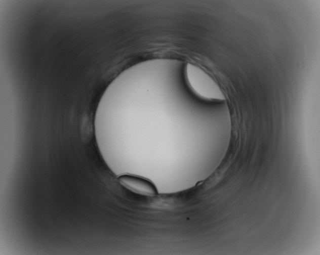 X0000099510471200805151015