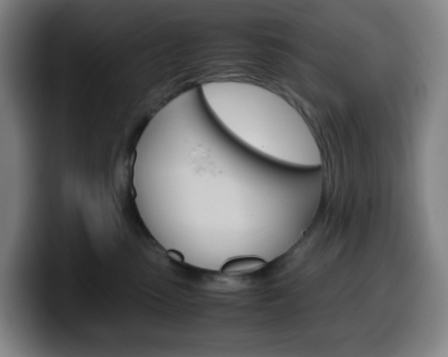 X0000099510475200805151015