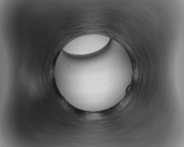 X0000099510476200805151015