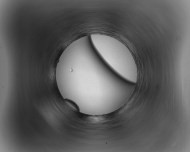 X0000099510477200805151015