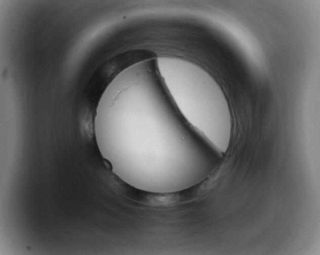 X0000099510479200805151015