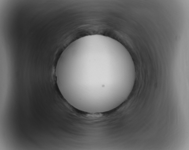 X0000099510480200805151015